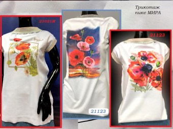 21123-21021-21025эм — копия
